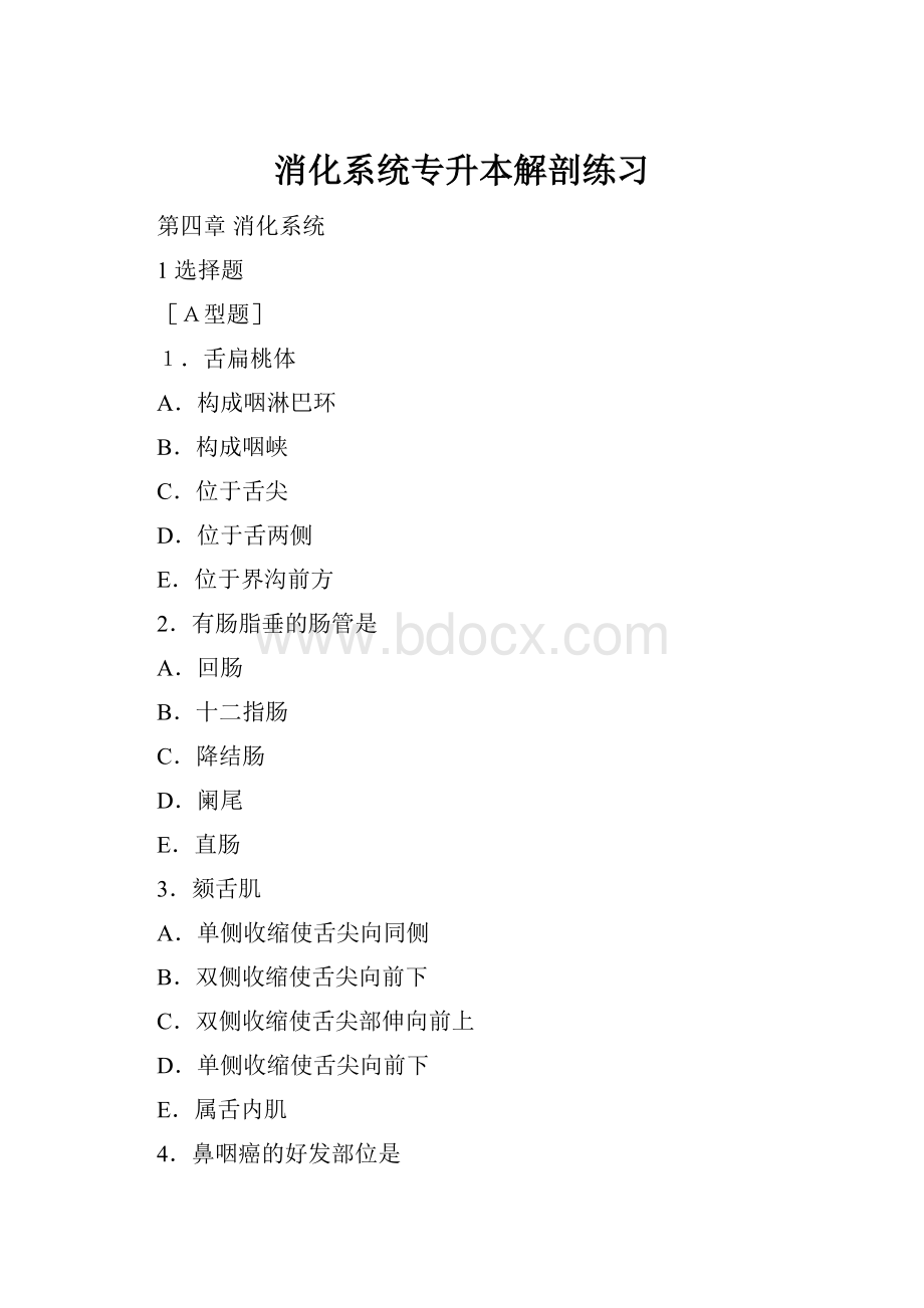 消化系统专升本解剖练习.docx_第1页