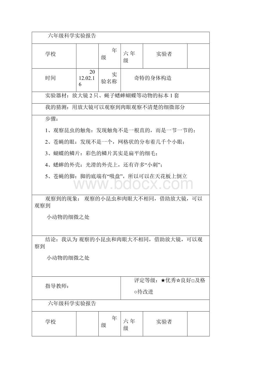 教科版六年级科学下册实验报告.docx_第3页