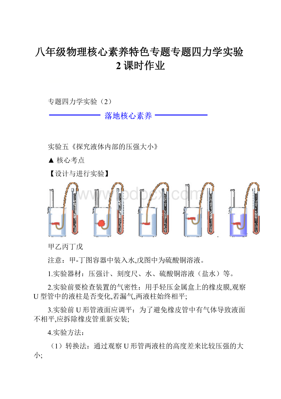 八年级物理核心素养特色专题专题四力学实验2课时作业.docx