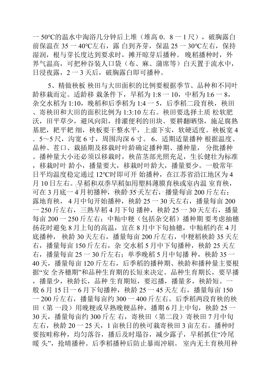 水稻的具体种植方法.docx_第2页