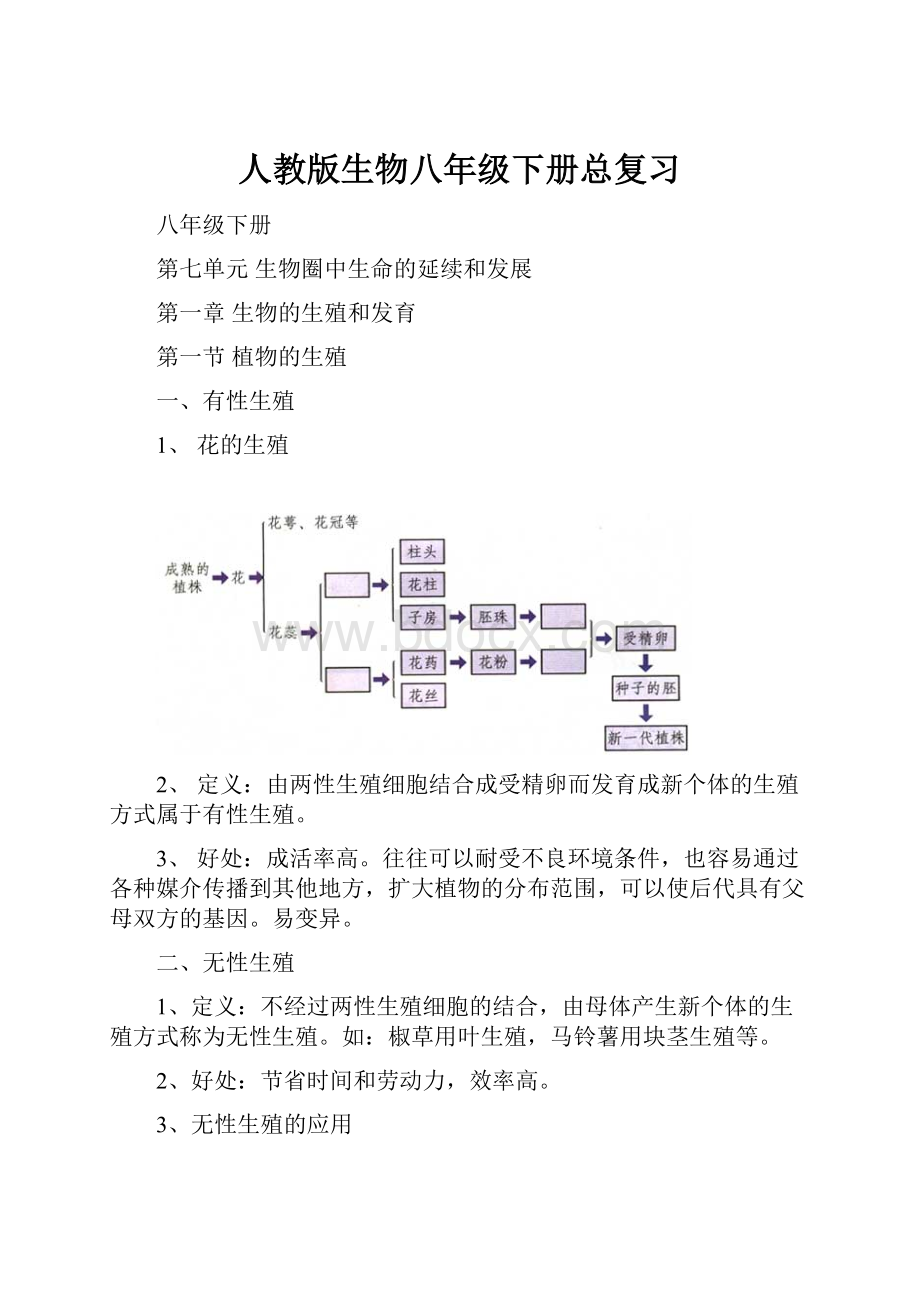 人教版生物八年级下册总复习.docx_第1页