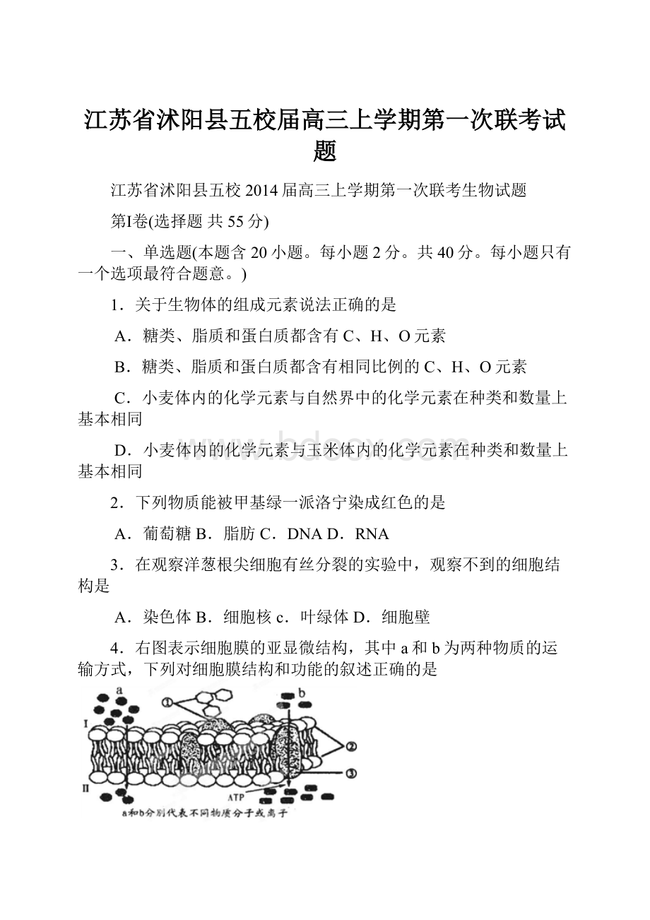 江苏省沭阳县五校届高三上学期第一次联考试题.docx