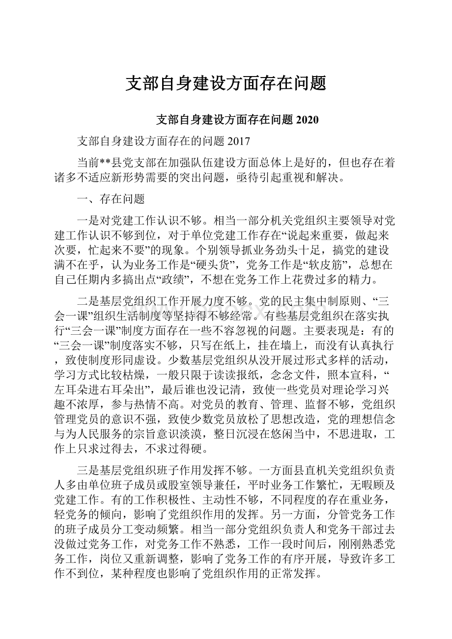 支部自身建设方面存在问题.docx