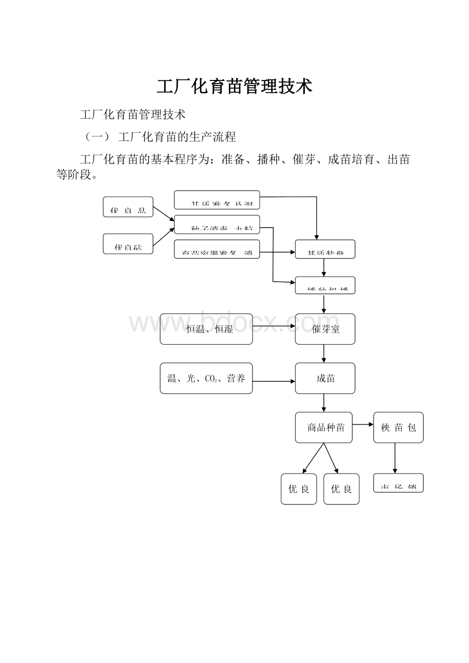 工厂化育苗管理技术.docx