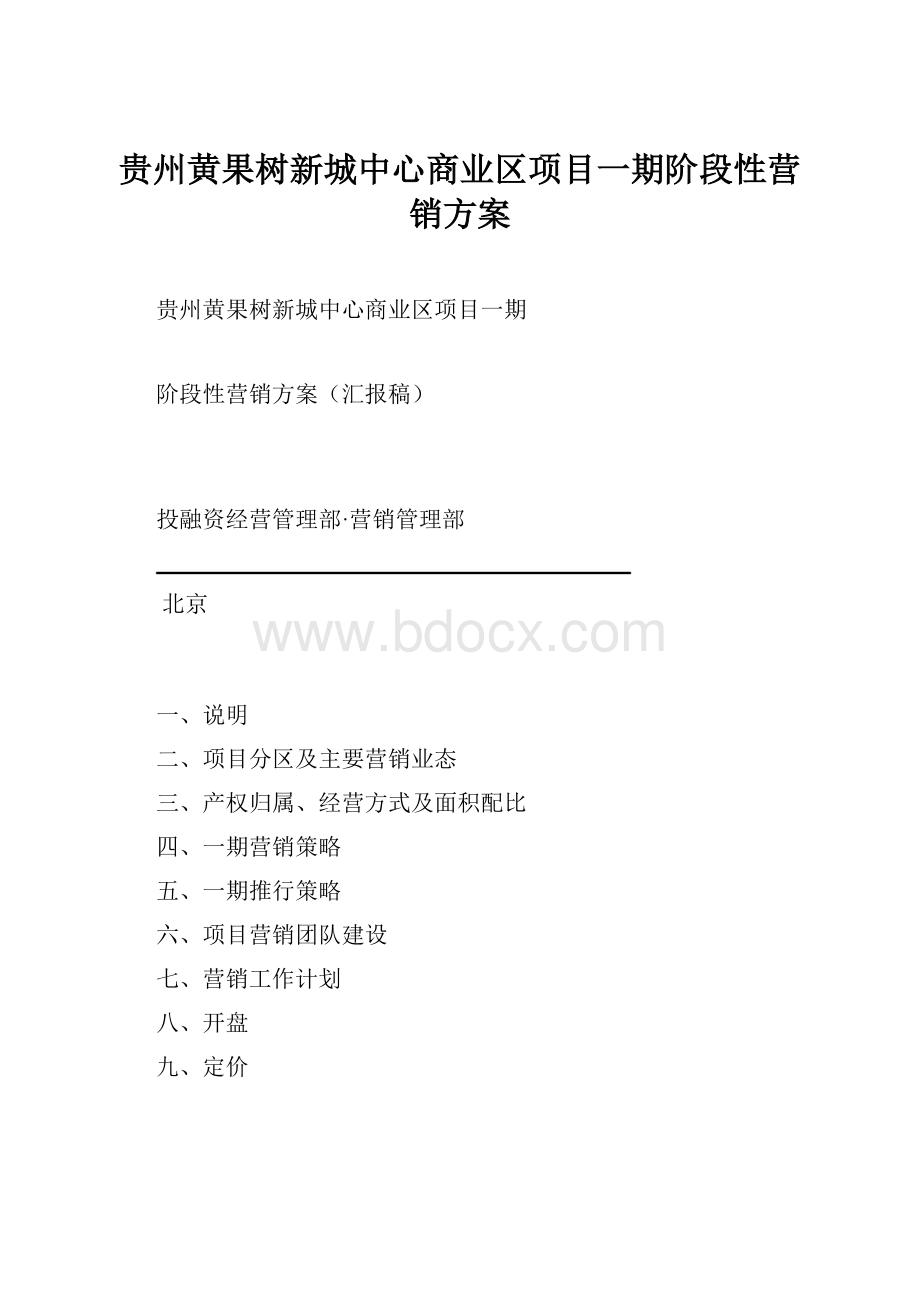 贵州黄果树新城中心商业区项目一期阶段性营销方案.docx_第1页