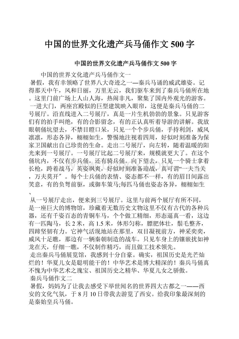 中国的世界文化遗产兵马俑作文500字.docx