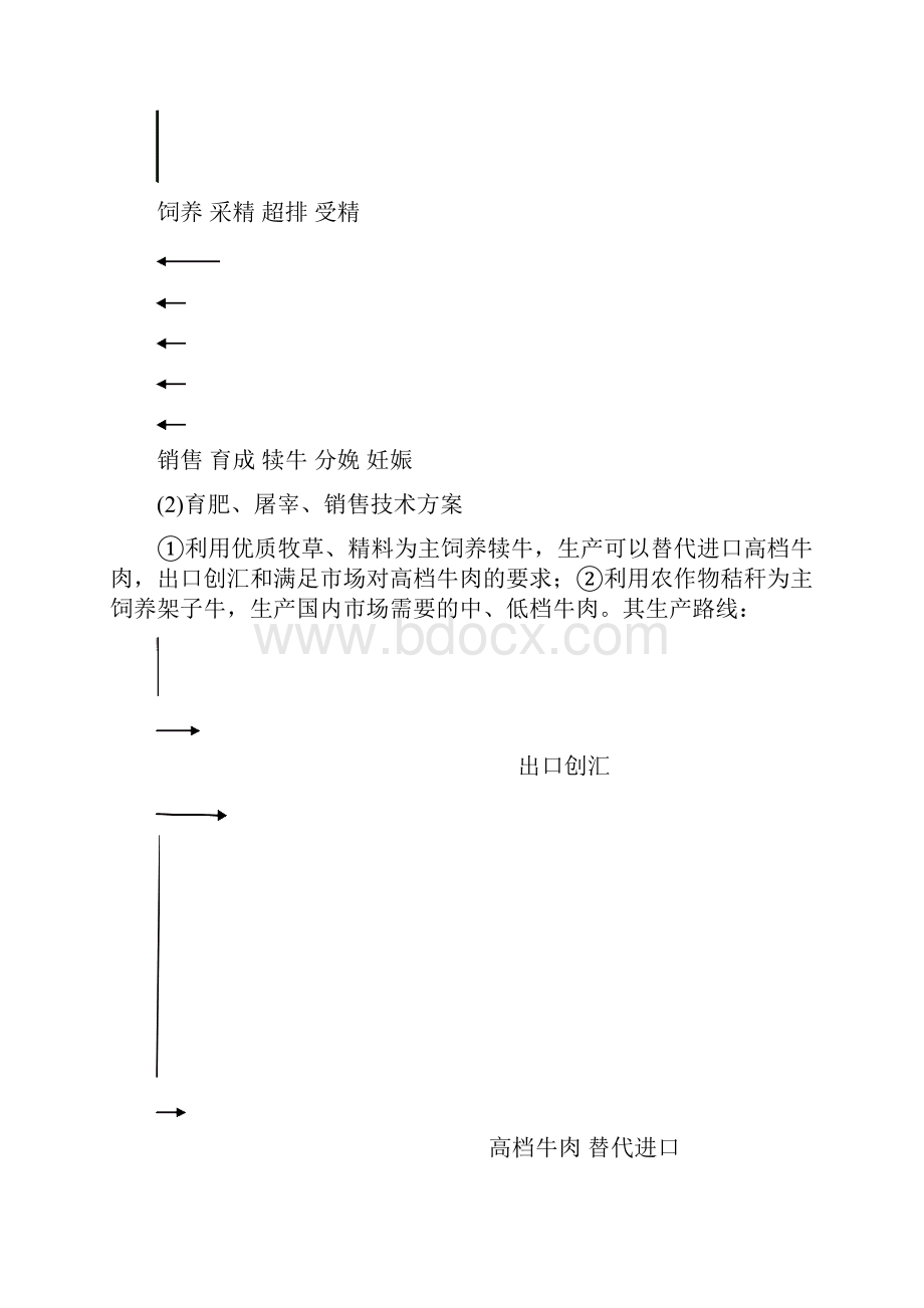 生态肉牛养殖可行性研究报告.docx_第3页