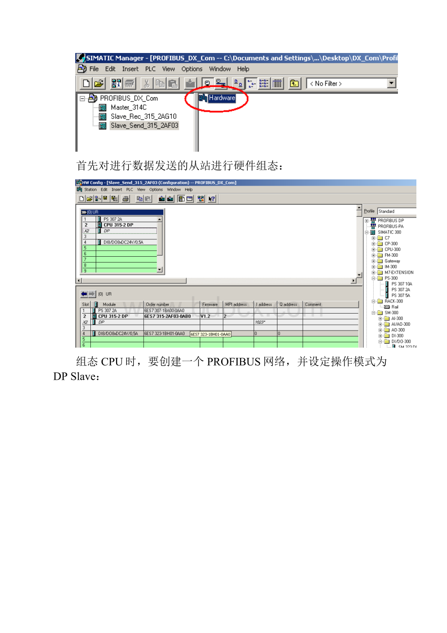 问题如何实现PROFIBUS从站之间的DX通讯.docx_第2页