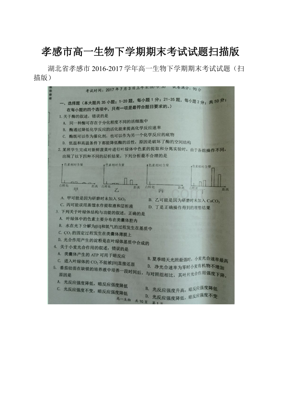 孝感市高一生物下学期期末考试试题扫描版.docx