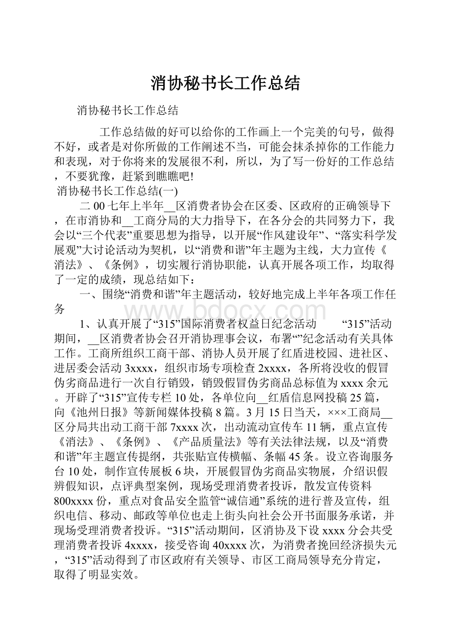 消协秘书长工作总结.docx