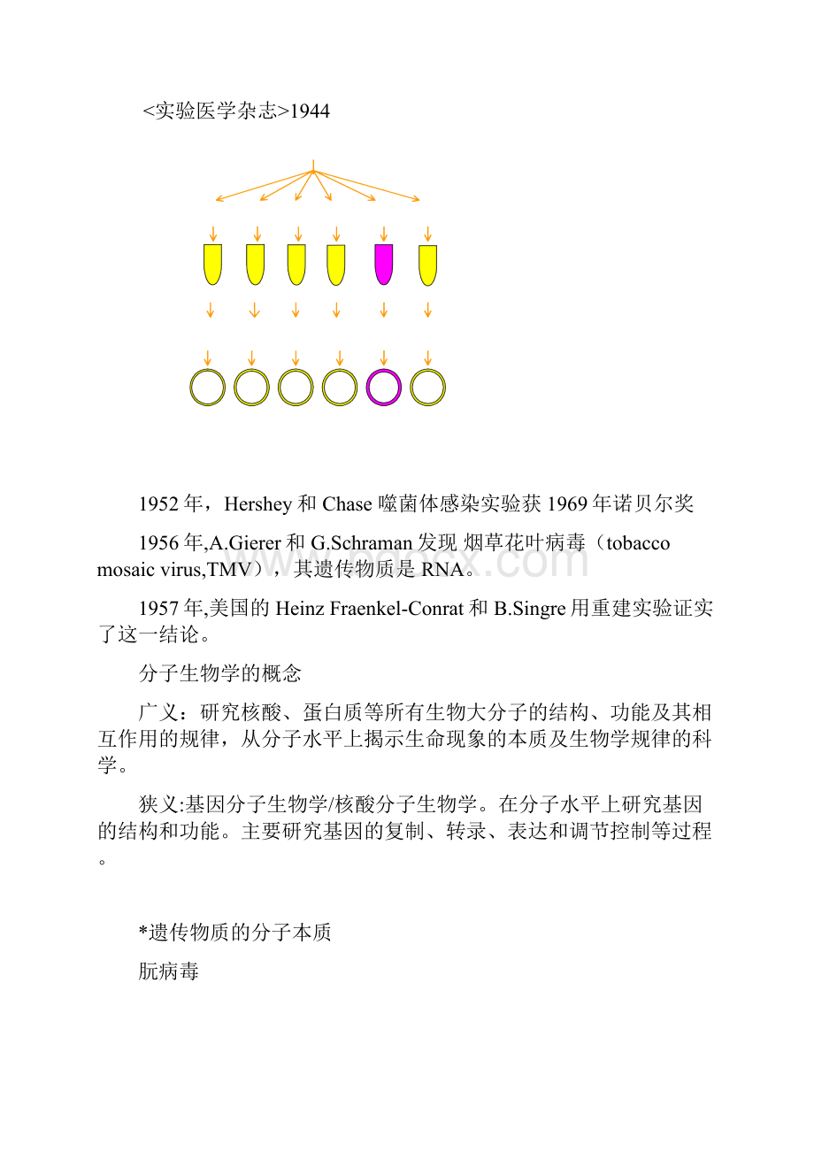 分子生物学完整版.docx_第3页