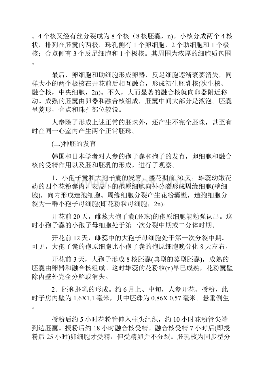 人参的个体发育汇总.docx_第2页