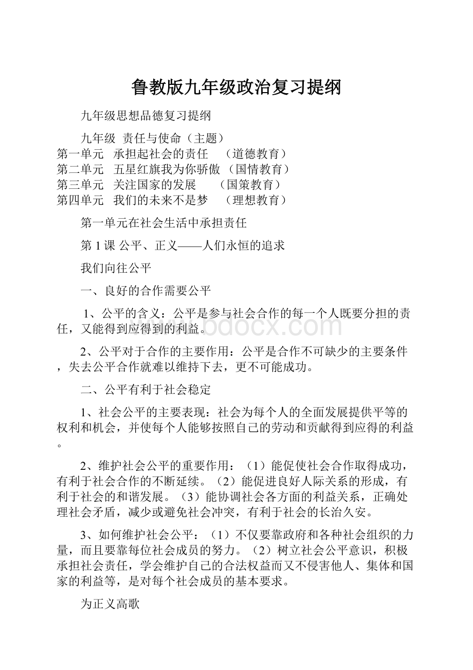 鲁教版九年级政治复习提纲.docx