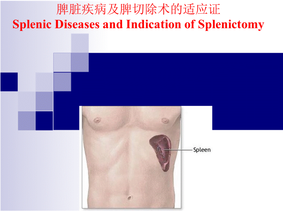 外科学教学课件：脾脏疾病及脾切除术的适应证.pptx