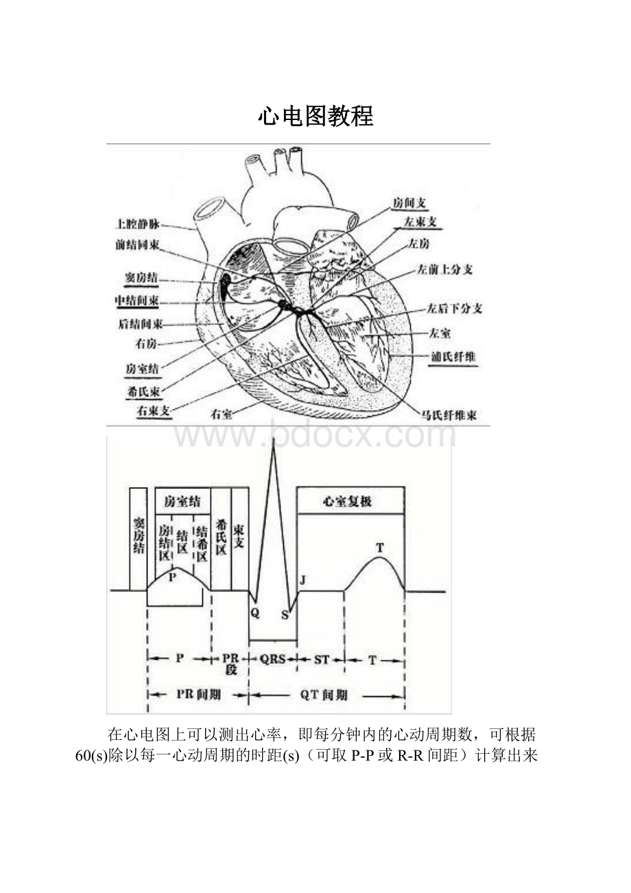 心电图教程.docx