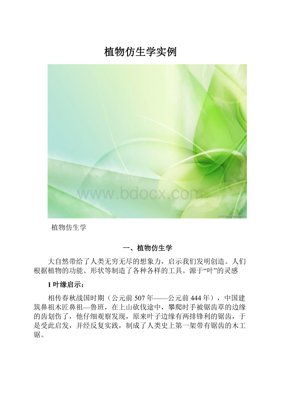 植物仿生学实例.docx_第1页