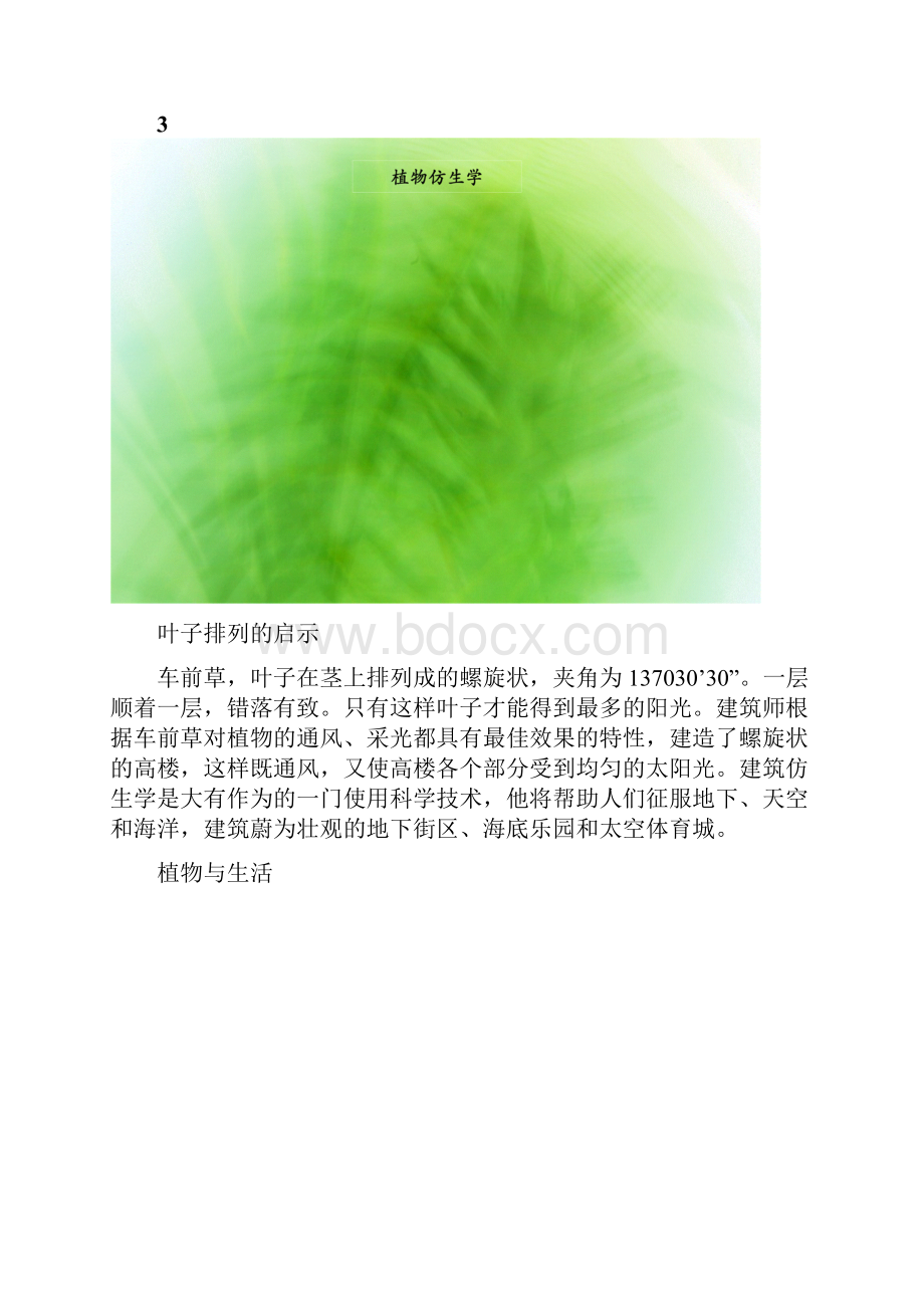 植物仿生学实例.docx_第3页