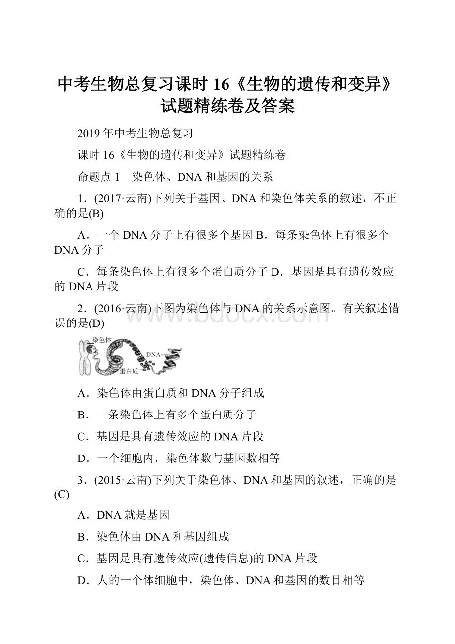 中考生物总复习课时16《生物的遗传和变异》试题精练卷及答案.docx