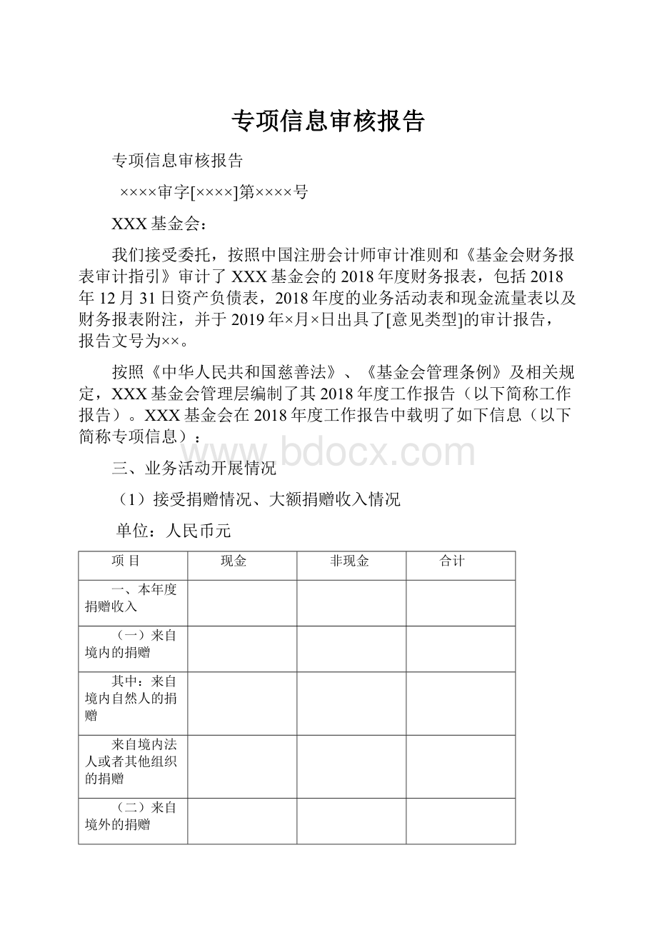 专项信息审核报告.docx