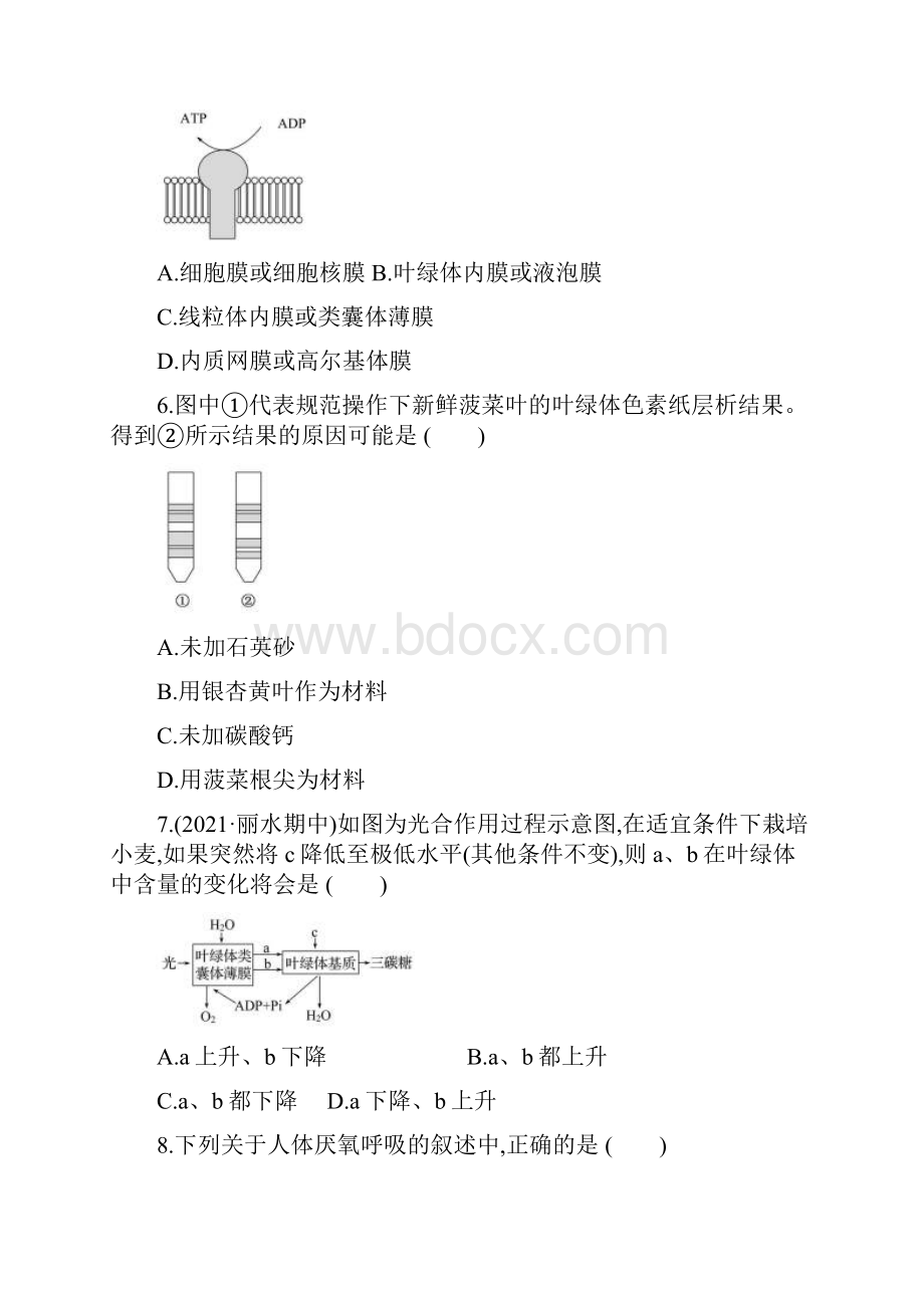 浙江省高中学业水平生物细胞呼吸和光合作用.docx_第2页