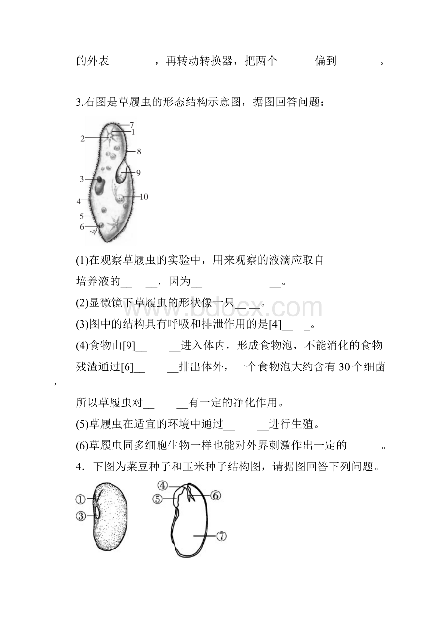 中考生物二轮复习 专题一 图形图表专题 新人教版.docx_第3页