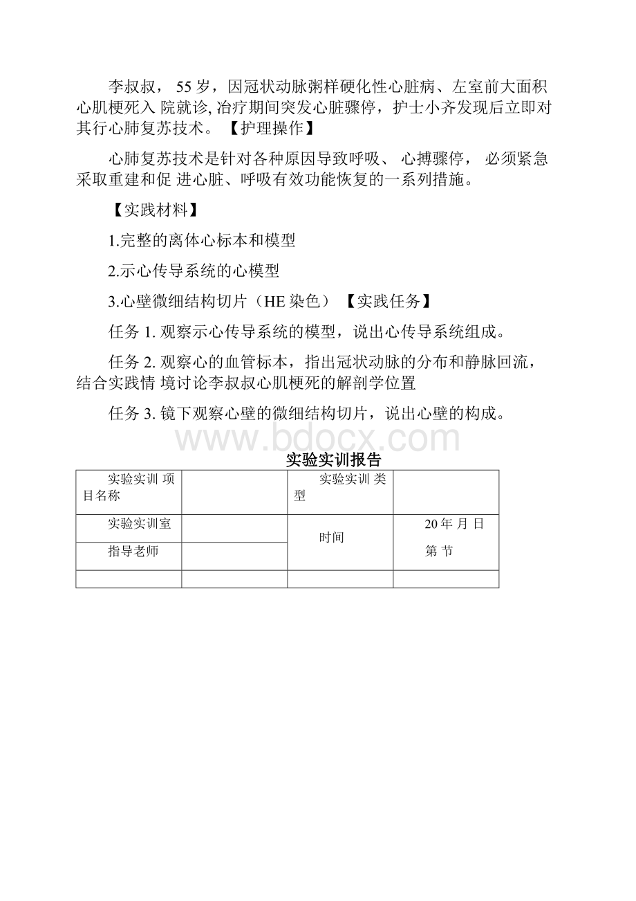 解剖实训实验报告下实验十一心的位置.docx_第3页