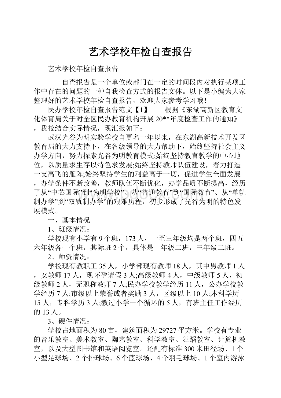 艺术学校年检自查报告.docx