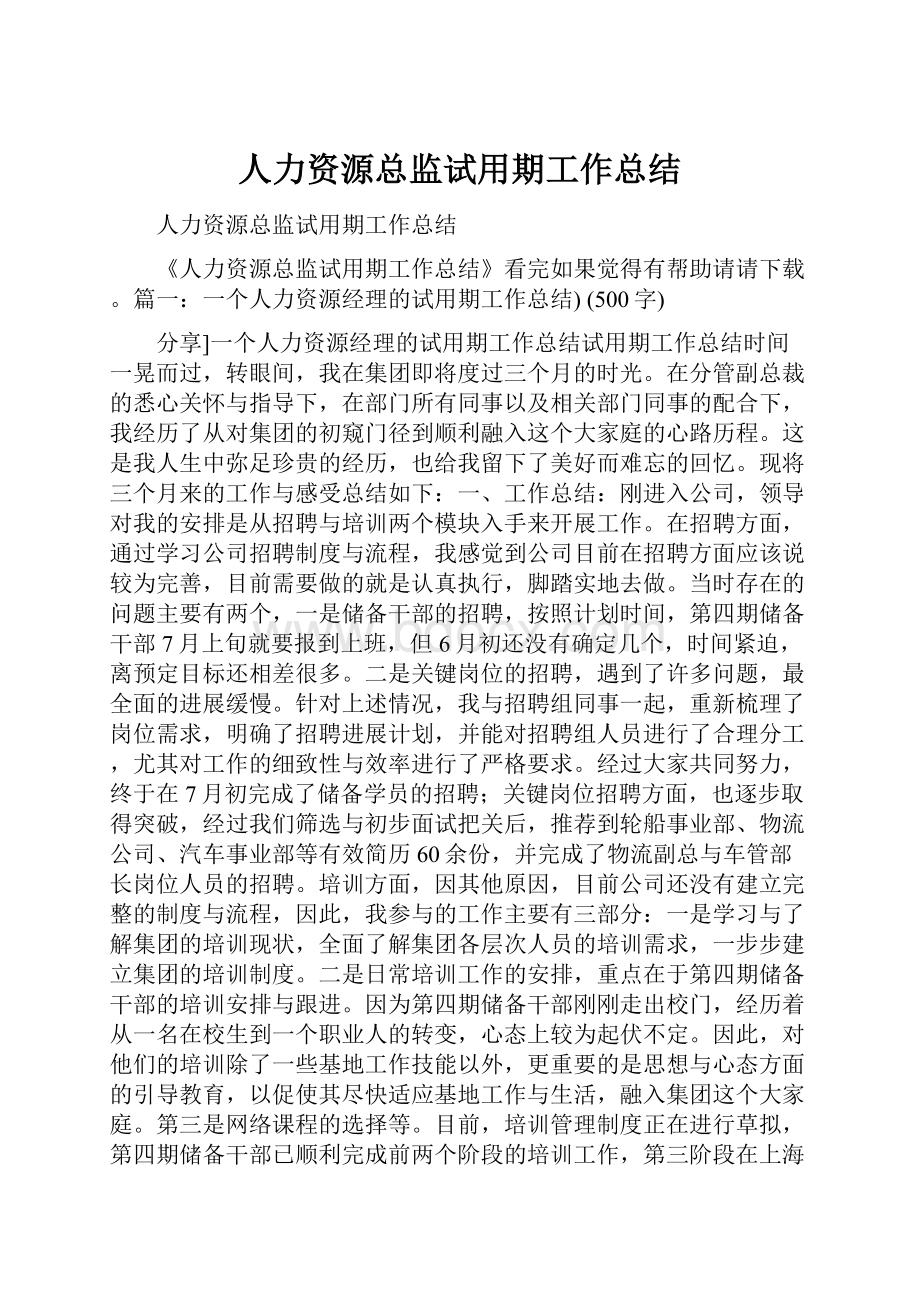 人力资源总监试用期工作总结.docx_第1页