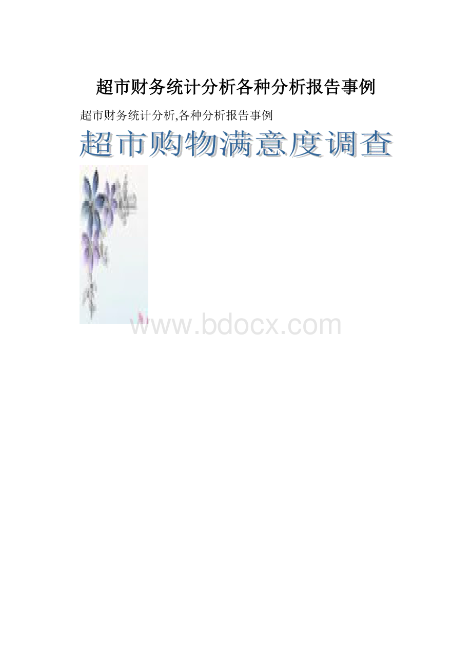 超市财务统计分析各种分析报告事例.docx_第1页