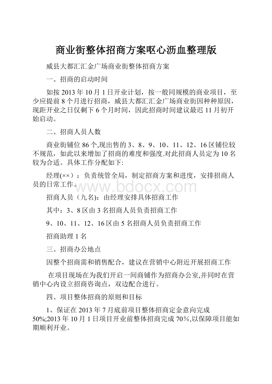 商业街整体招商方案呕心沥血整理版.docx