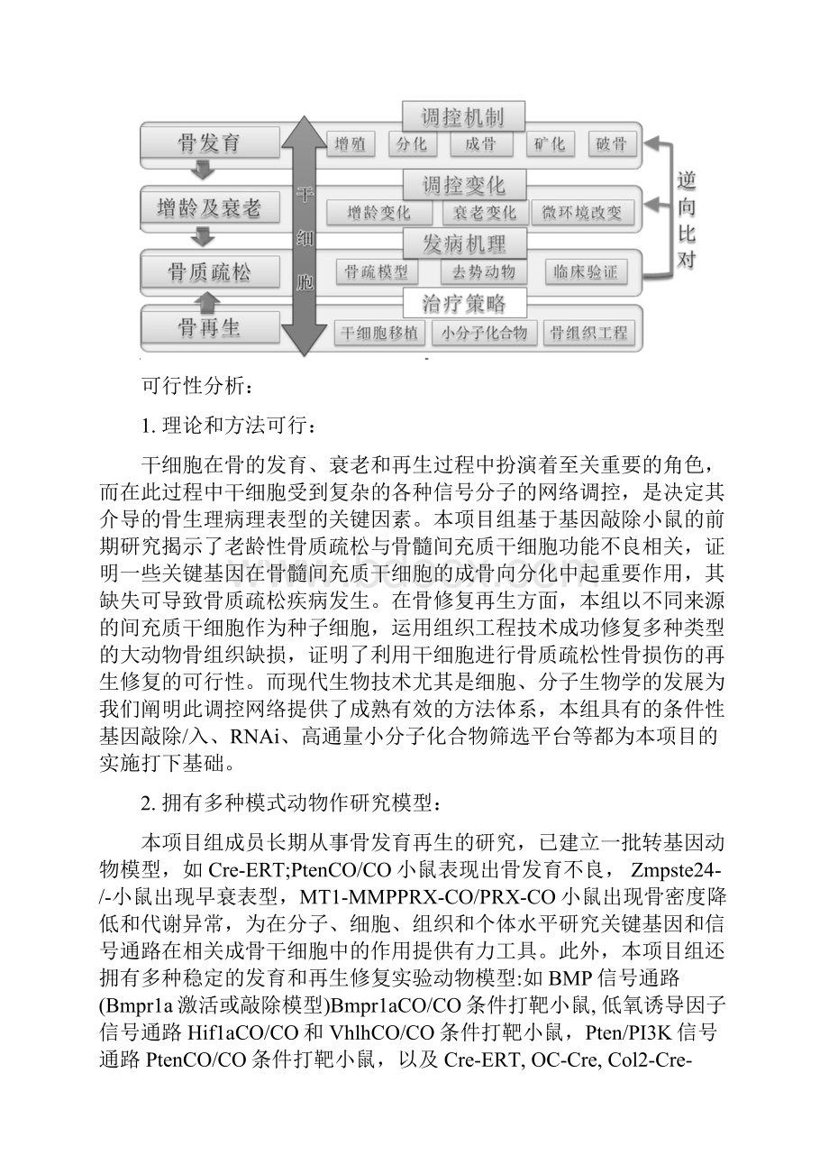 干细胞在骨衰老.docx_第3页