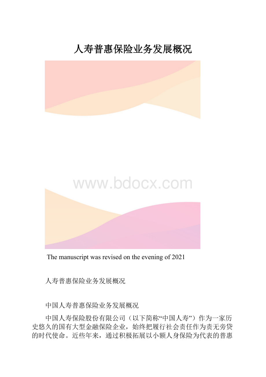 人寿普惠保险业务发展概况.docx