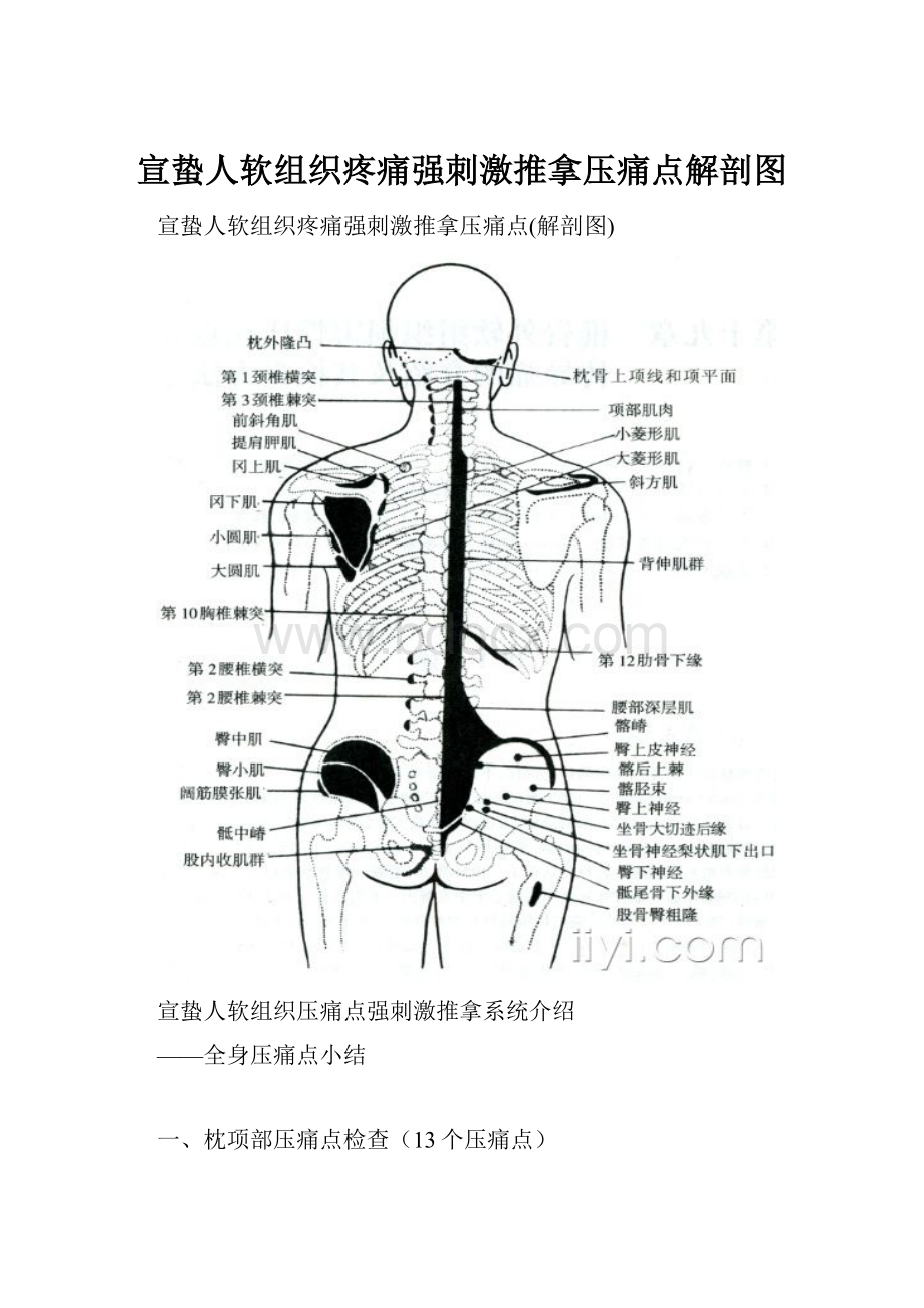 宣蛰人软组织疼痛强刺激推拿压痛点解剖图.docx