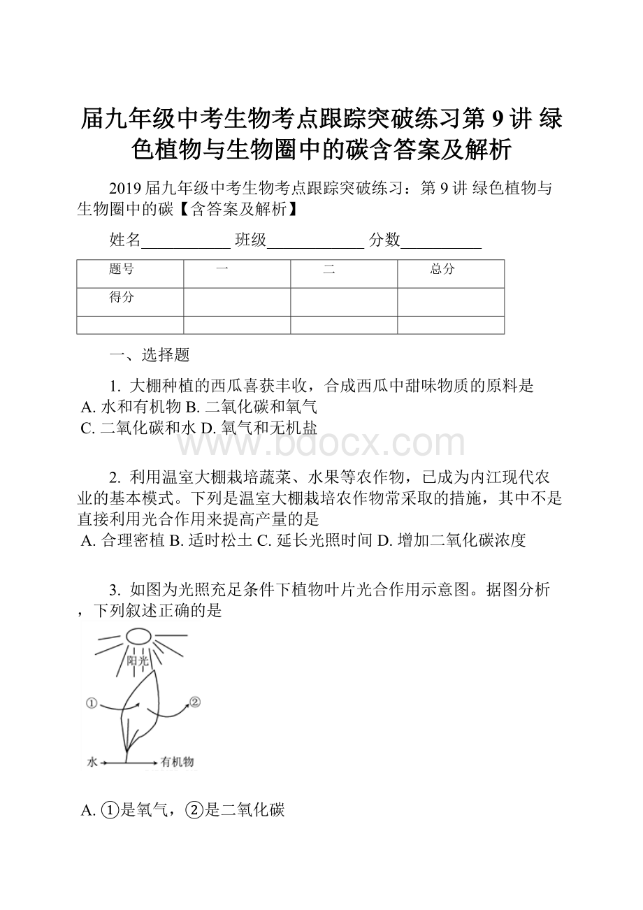届九年级中考生物考点跟踪突破练习第9讲 绿色植物与生物圈中的碳含答案及解析.docx