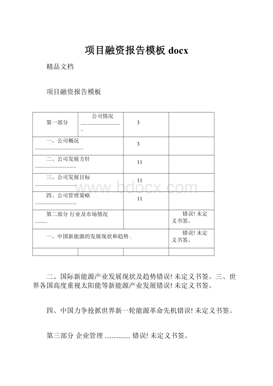 项目融资报告模板docx.docx_第1页