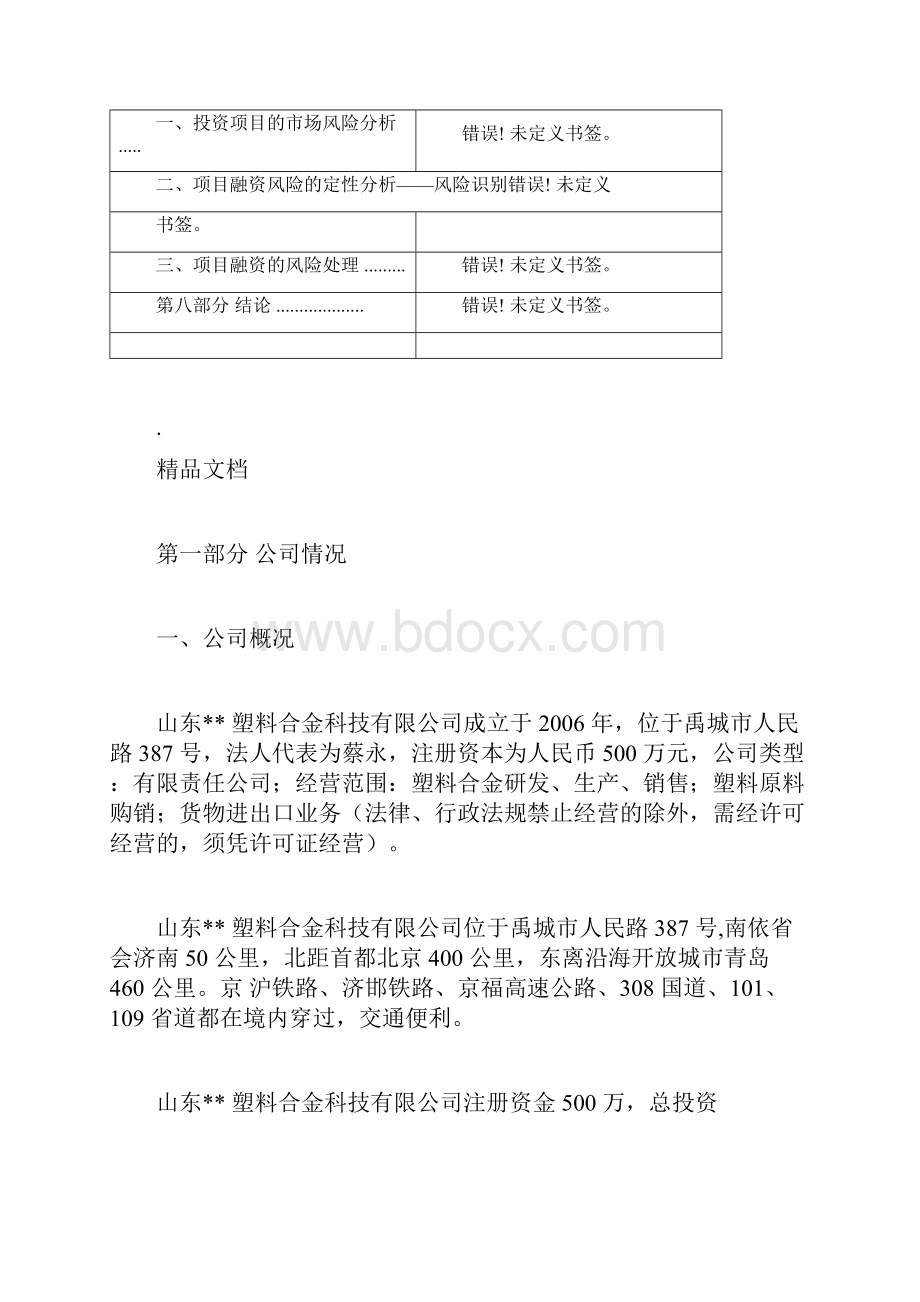 项目融资报告模板docx.docx_第3页