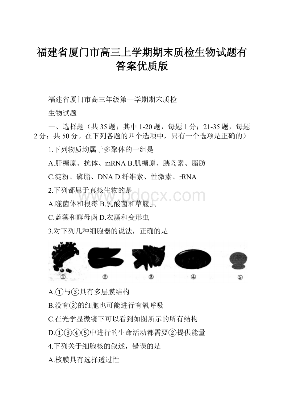 福建省厦门市高三上学期期末质检生物试题有答案优质版.docx