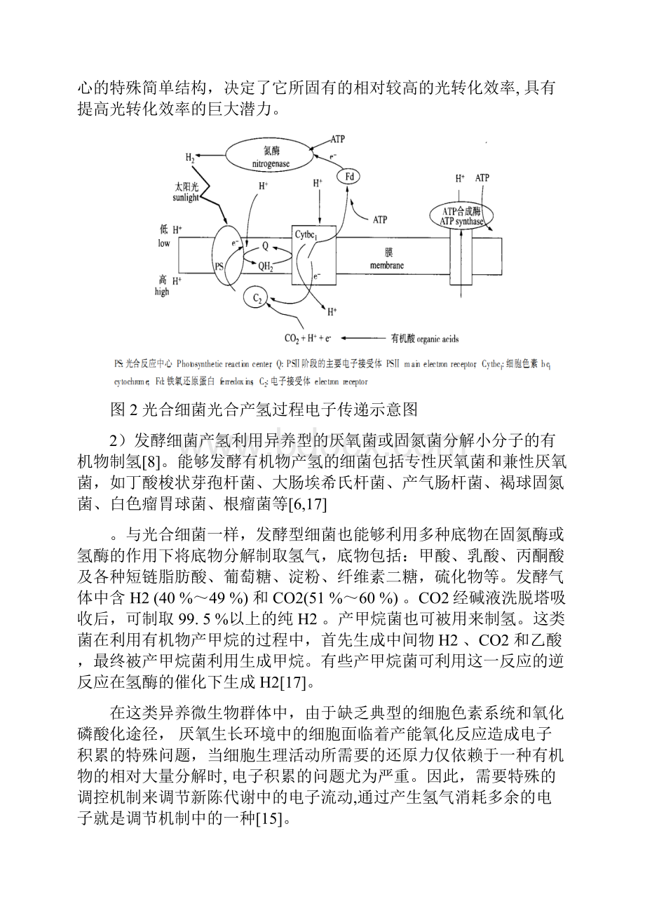 生物制氢技术1.docx_第3页