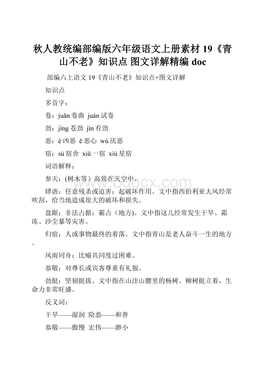 秋人教统编部编版六年级语文上册素材19《青山不老》知识点 图文详解精编doc.docx