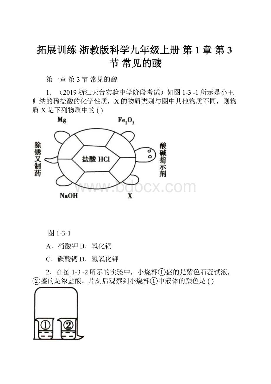 拓展训练 浙教版科学九年级上册 第1章 第3节 常见的酸.docx