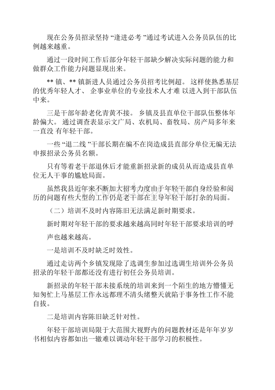 XXXX年某县年轻干部队伍建设调研报告可编辑doc.docx_第2页