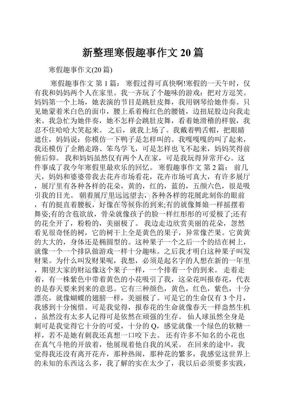 新整理寒假趣事作文20篇.docx