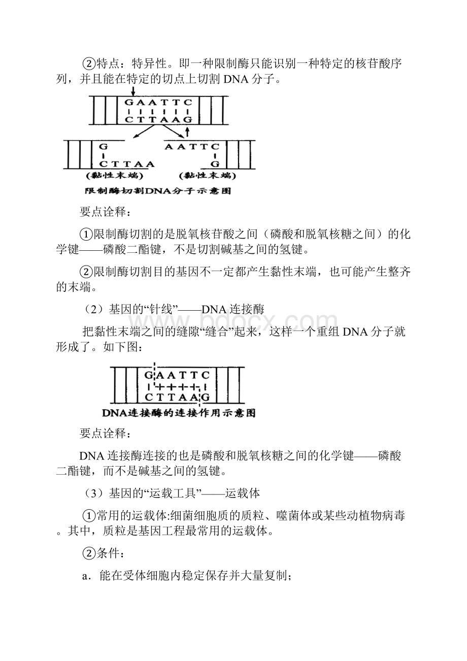 人教版高中生物必修二知识讲解巩固练习教学资料补习资料30基因工程及其应用.docx_第2页