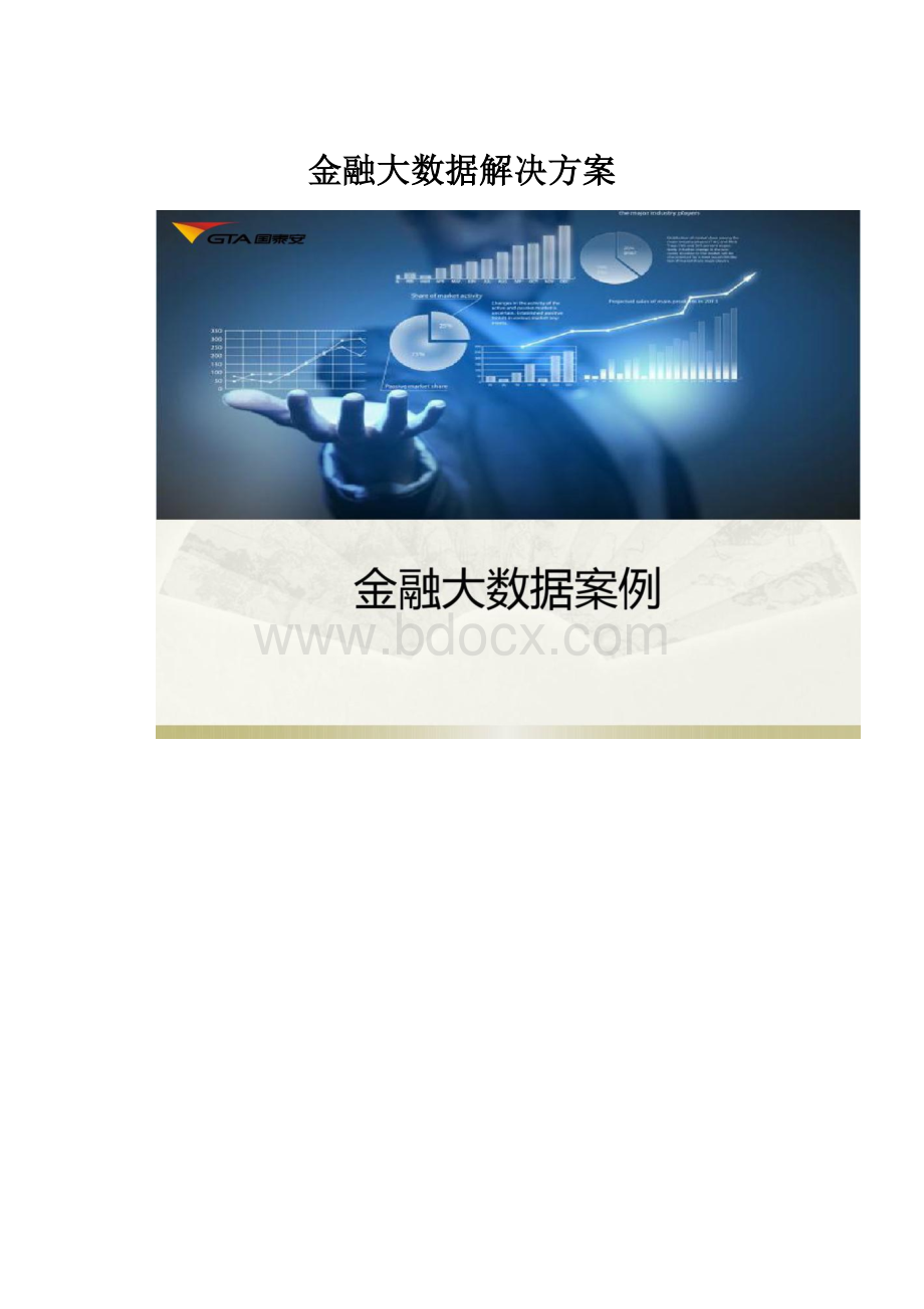 金融大数据解决方案.docx_第1页