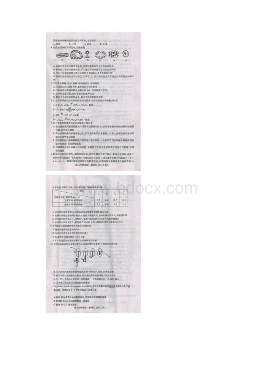 安徽省太和县太和中学学年度高三生物上期期末抽测调研试题.docx_第2页