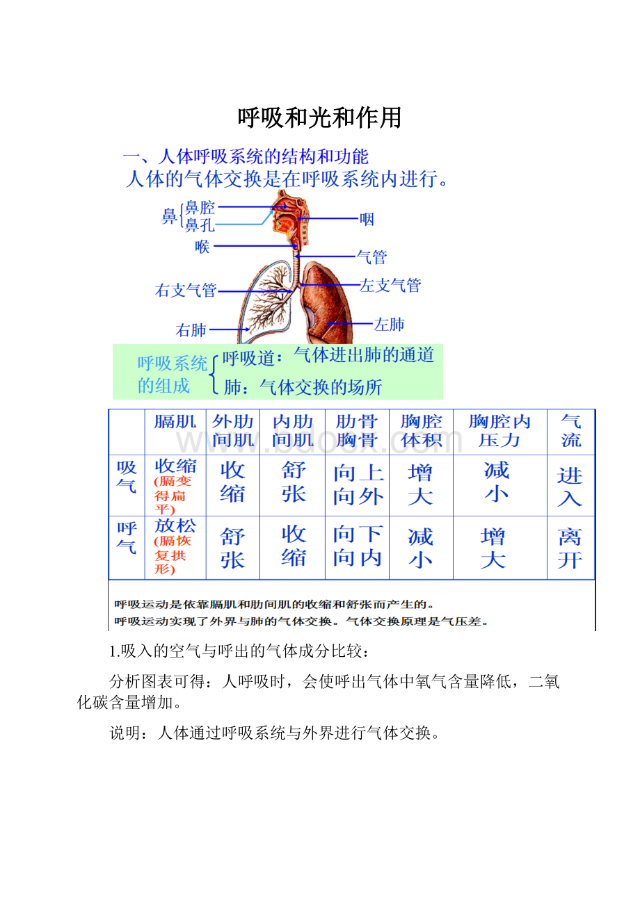 呼吸和光和作用.docx_第1页