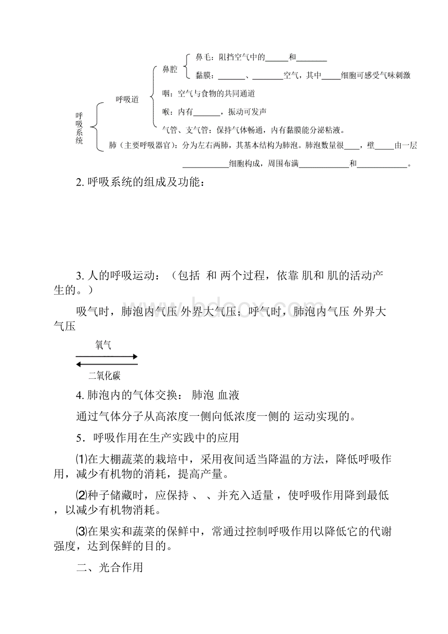 呼吸和光和作用.docx_第2页