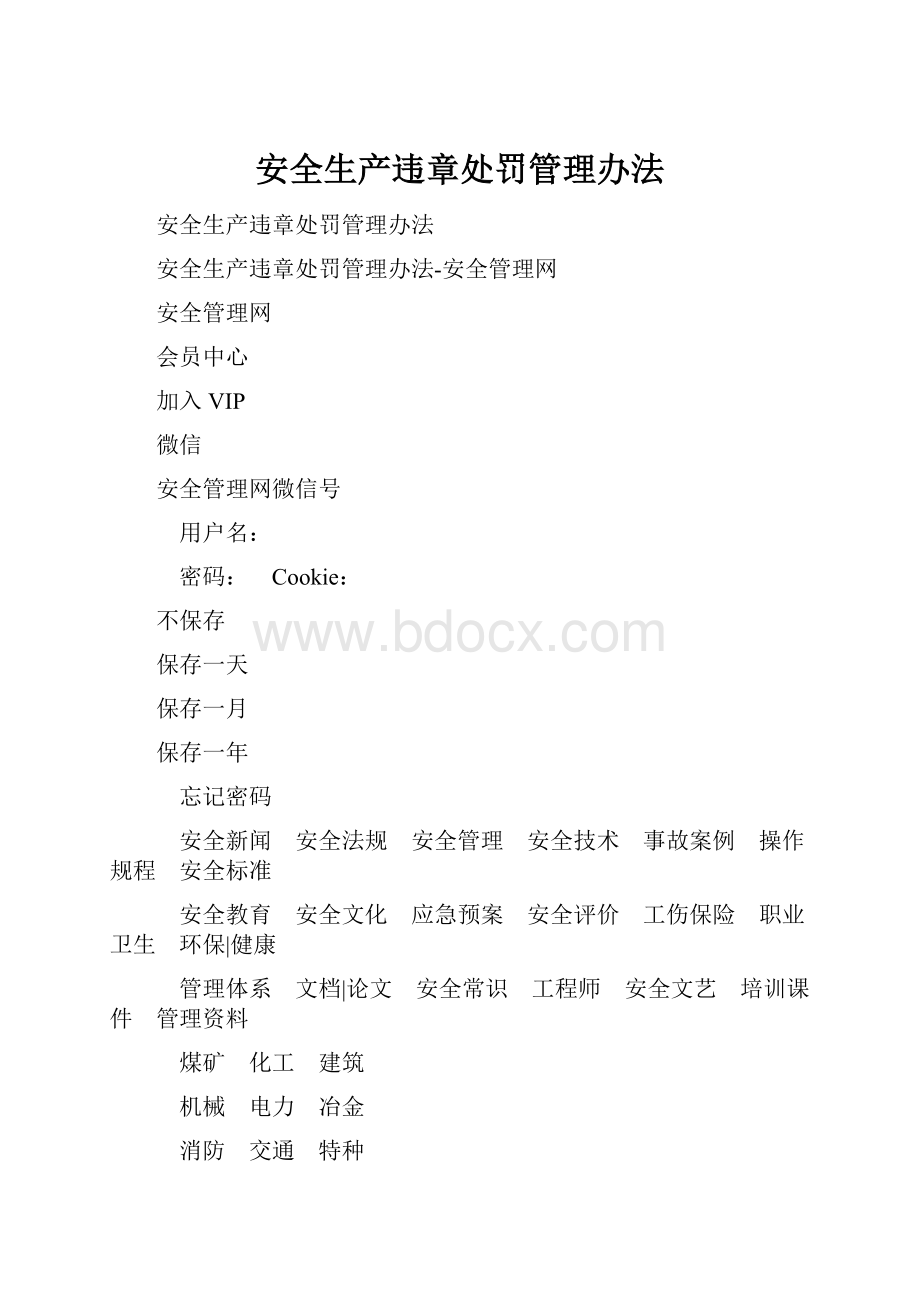 安全生产违章处罚管理办法.docx