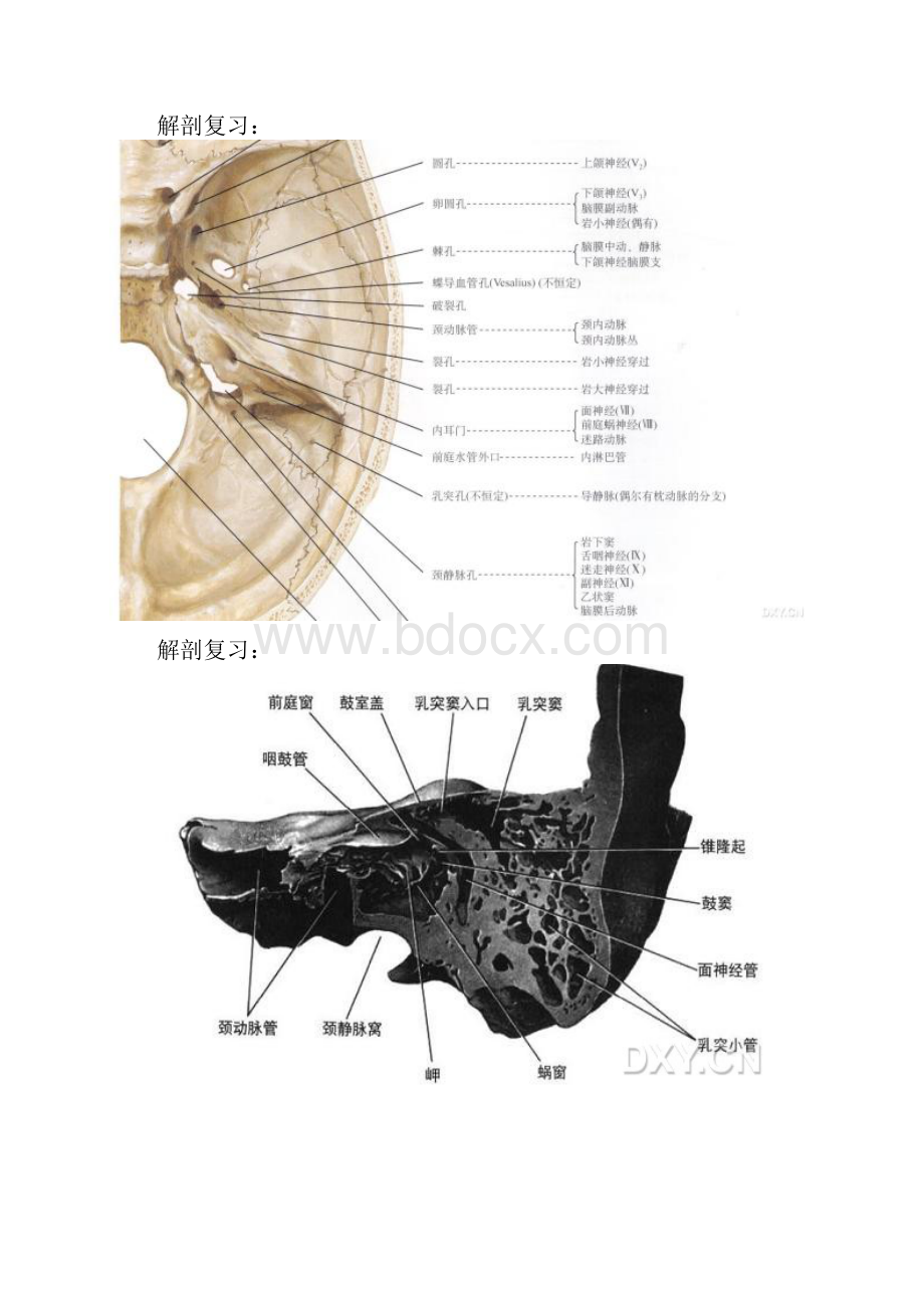 桥小脑角区肿瘤性病变的影像鉴别诊断.docx_第3页