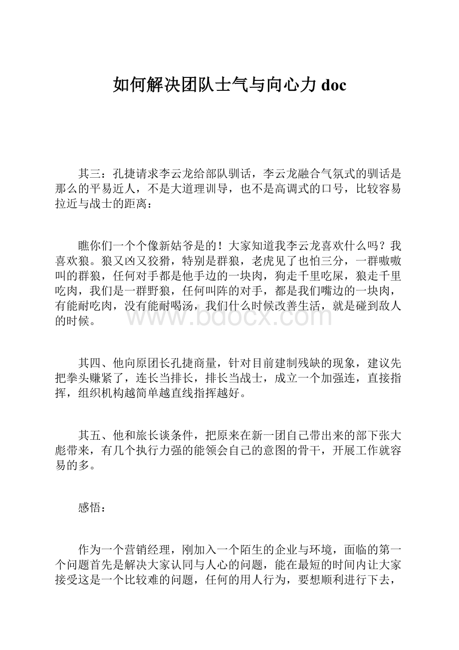 如何解决团队士气与向心力doc.docx